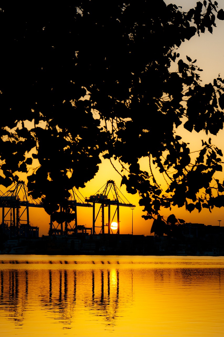 amanecer, sunset, port, puerto, sea, landscape, paisaje, paisaje urbano, silhouettes, tree, arbol, nature, grua